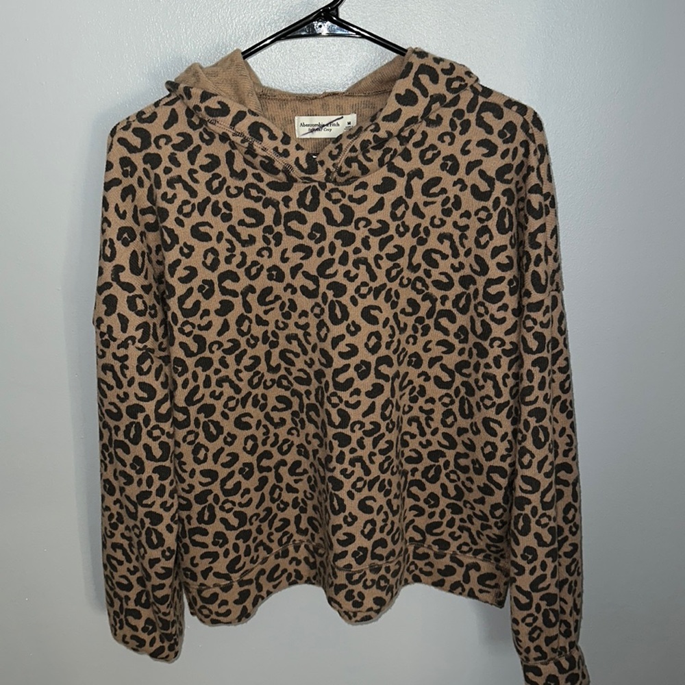Abercrombie & Fitch hoodie